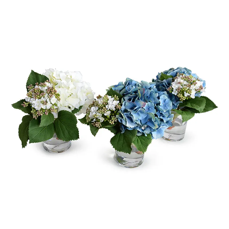 Hydrangea w/Bud Cutting in Glass 9"H