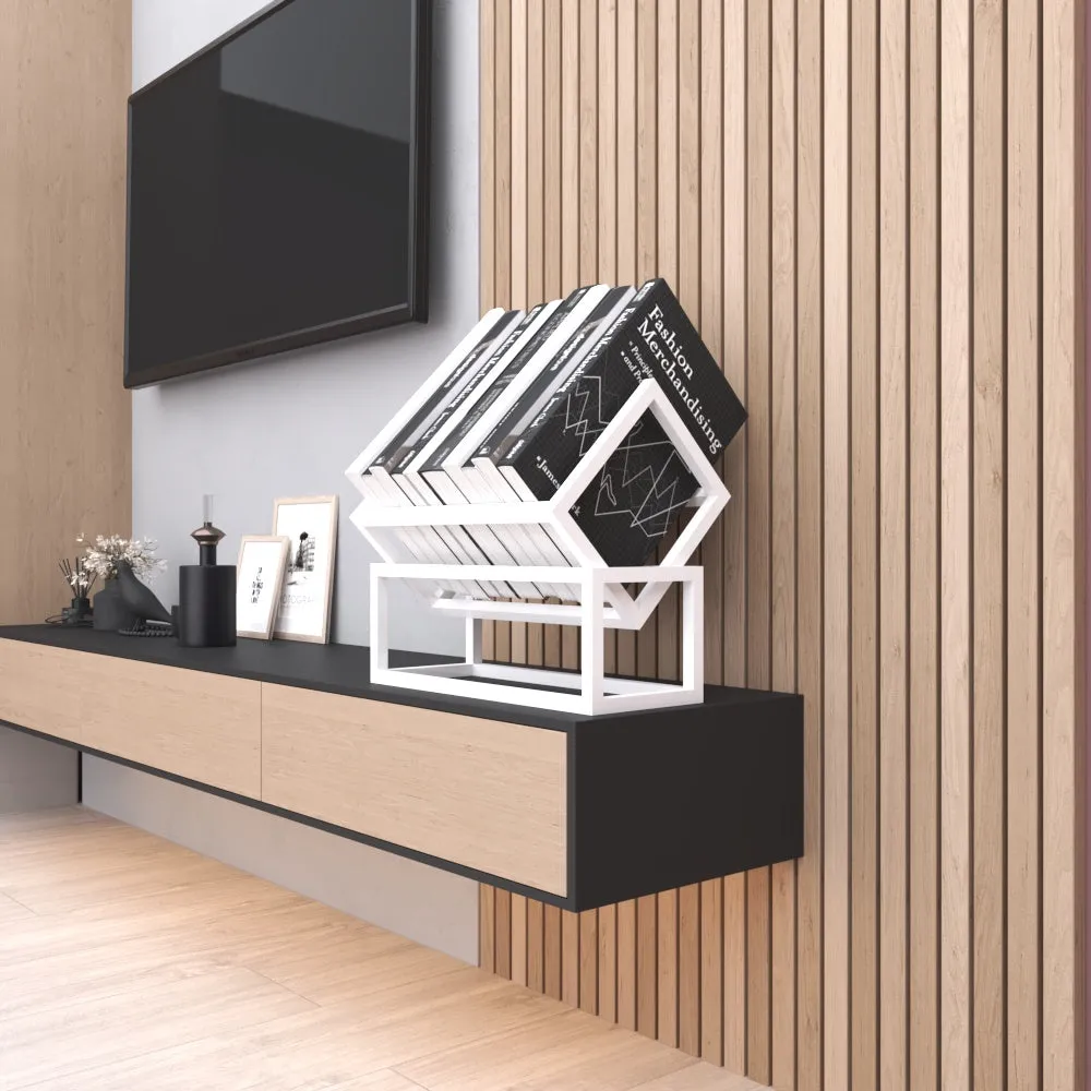 Modern Vinyl Record