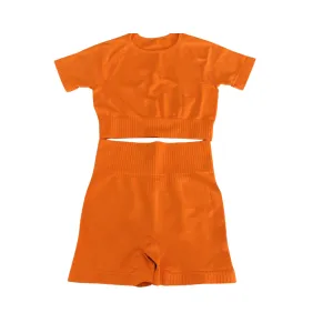 Pre Order:  Tight Elastic Seamless Yoga Suit