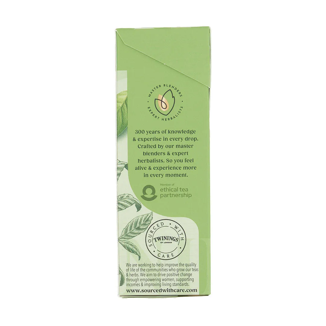 Pure Green Tea - 20 Tea Bags